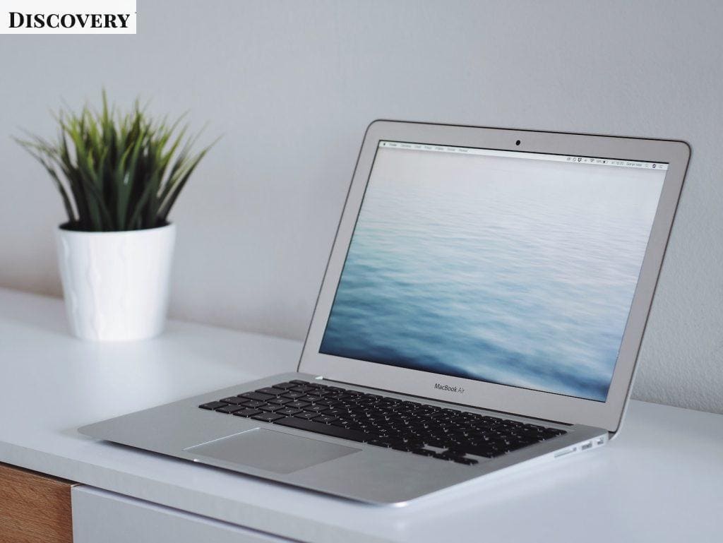 MacBook Air beside green plant on white wooden surface
